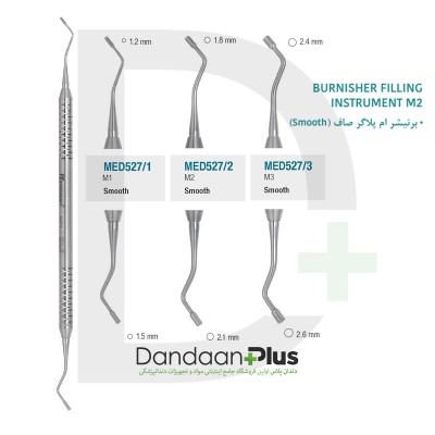 برنیشر ام پلاگر صاف - Medesy - Burnisher Instrument M