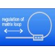 نوار ماتریس لوپ - TorVM - Loop Matrices
