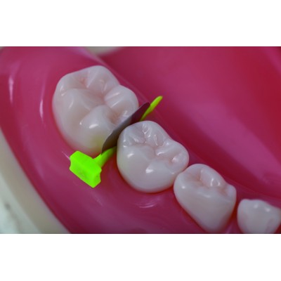 فندرپرایم - Directa - FenderMate Primet