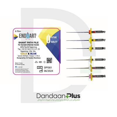 کیت پث فایل - Incidental - EndoArt Shant Path File
