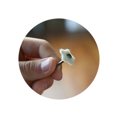 کیت پالیش کامپوزیت - DIASHINE - Lucida Click