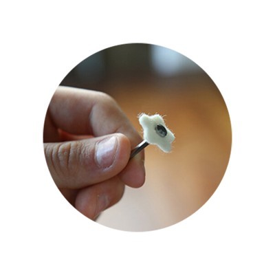 کیت پالیش کامپوزیت (۳۰ عددی) - DIASHINE - Lucida Click Mini