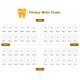کیت اس‌اس‌کراون - Seil Global - iCrown-Primery Molar Crown
