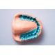 واش فست‌ست پرستیژ - Vannini Dental - Prestige Light Fast