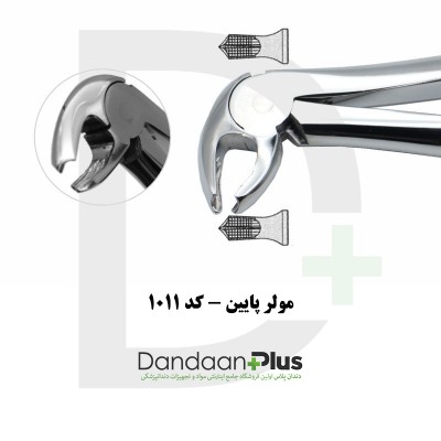 فورسپس مولر/پرمولر/سانترال - Extraction Forceps - فتاح طب