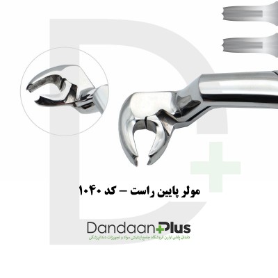 فورسپس مولر/پرمولر/سانترال - Extraction Forceps - فتاح طب