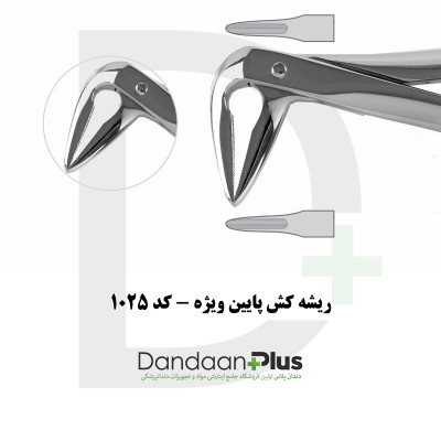 فورسپس ریشه‌کش - Root Extraction Forceps - فتاح طب