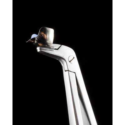 فورسپس ماتریکس - Garrison - Composi Tight Matrix Forceps