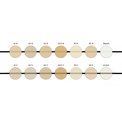 کامپوزیت انامل یونیورسال - Bisco - Quantium Enamel