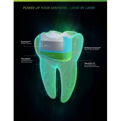 کامپوزیت بادی یونیورسال - Bisco - Quantium Body
