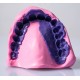 واش فست‌ست هیدرولایت - Vannini Dental - Prestige Hydrolight