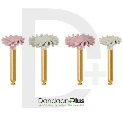 دیسک پرداخت کامپوزیت EVE- Teco