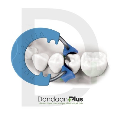 رینگ Polydentia- MyRingClassico