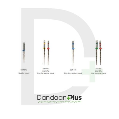 فایل روتاری آسورت روژین -   ROGIN Medical Super Flexi Rotary File