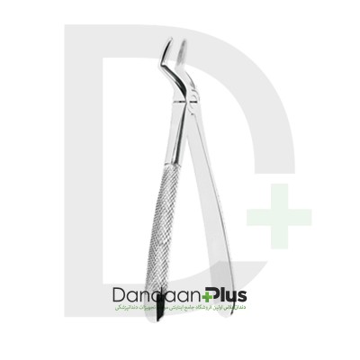 فورسپس ریشه کش - SAAMS - Forceps