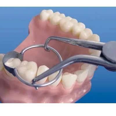 فورسپس سکشنال - TorVM - Forceps