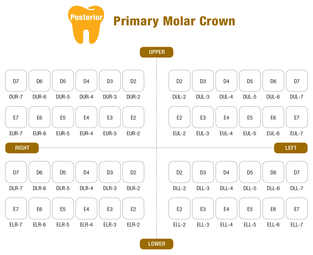 Stainless Steel Primary Molar Crown Full Kit.jpg